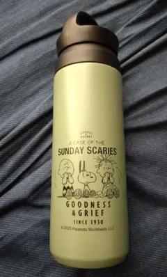 スヌーピー 水筒 ステンレス製 ライトグリーン 500ml 保温保冷