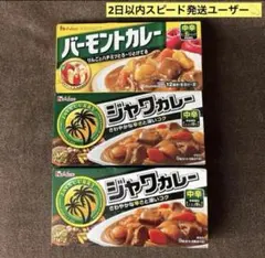 【大特価】残1点☆バーモントカレー・ジャワカレー中辛3箱ポイント消化のサムネイル