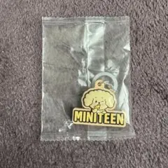 MINITEEN キーホルダー　DOA　ドギョム