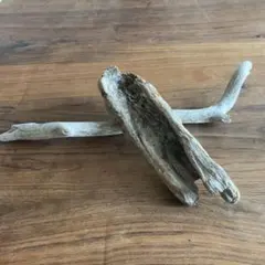 Item thumbnail for item de57eac9-bf73-451f-9e3f-e7b169980083