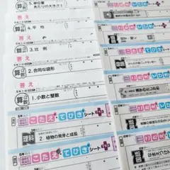 カラーテスト 5年 こたえ てびき テスト 小学生