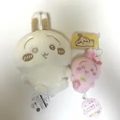ちいかわ ぬいぱれっと さくらいろ ミルクいろ ジュエリーミニケース セット