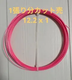 ソリンコ コンフィデンシャルソフト 125 1張り分 12.2mカット品