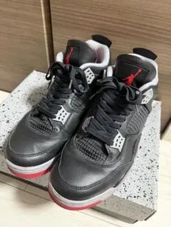 りゅうNIKE AIR JORDAN4 リイマジンド仕様　サイズ28 りゅう様専用NIKE AIR JORDAN4 リイマジンド仕様 サイズ28 - メルカリ