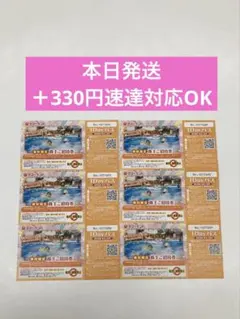 東京サマーランド 株主優待チケット 6枚 - メルカリ