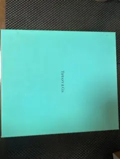 Item thumbnail for item 6c327380-de62-475b-b44c-70798f92ef6a