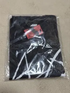 エイリアンステージ エイステ バニステ カフェ 韓国 ティル Tシャツ