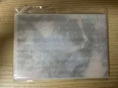 ハレルヤベイビー 仔縞楽々 ミニアクリルアート 呉都＆桜咲冬夏