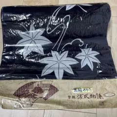 Item thumbnail for item d7ec9e26-0482-4802-b565-06bb4263825c