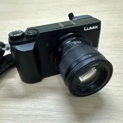 2025年最新】lumix gx7mk2 レンズの人気アイテム - メルカリ