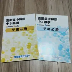 メルメット様 リクエスト 2点 まとめ商品