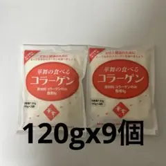 Item thumbnail for item c5827812-3183-4b73-aded-2f41f6f59419