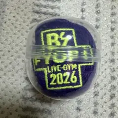 B'z LIVE-GYM 2026 FYOP+ リストバンド(紫) - メルカリ
