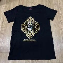 激レア【新品未開封】2015年Acid Black Cherry Acid Black Cherry / Black Cherry 未開封 - メルカリ