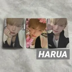 &TEAM 雪明かり トレカ HARUA