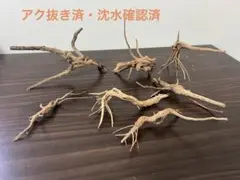 2026年最新】ブランチウッドの人気アイテム - メルカリ