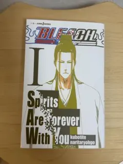 BLEACH 小說　久保帶人　成田良悟