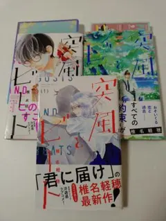 突風とビート １~３巻