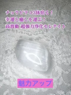 虹龍エネルギー入り チョウピラコ三体宿る！ 癒し安らぎ 健康 美容 金運 開運 1月期間限定販売②キラキラ 金運・財運・健康運アップに/龍神