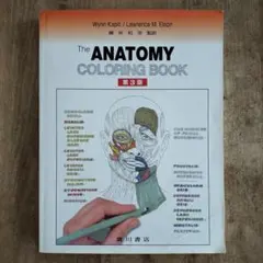 Item thumbnail for item 989d5cbd-31bc-45cc-bbb7-75036e8e6420