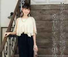 試着のみ☆ワンピース  結婚式、パーティー  ルイルエブティック