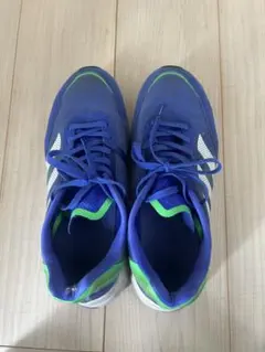 Item thumbnail for item cec8dcb9-205c-48a9-a6ca-44d41d18abc5