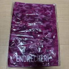ENDRECHERI タオル 堂本剛