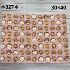 ＊327＊ハンドメイド♪ランチョンマット
