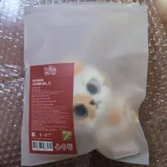 boynextdoor BBNEXDO キーリング ソンホ プネクド