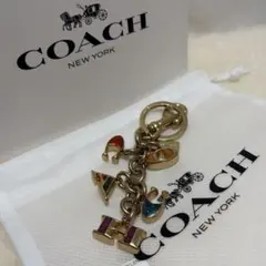 希少！ COACH × PEANUTS Woodstock バックチャーム - メルカリ