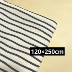 Item thumbnail for item 4884b761-e7a0-4b25-9d93-f0e06e64851a