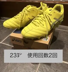 asics ds light 23