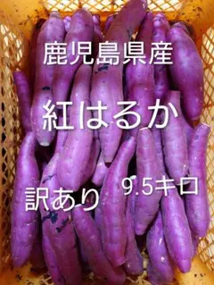 鹿児島県産 紅はるか 訳あり9.5キロh