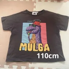 キッズTシャツ 110 恐竜