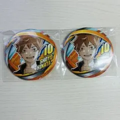 ハイキュー 日向翔陽 ファンパーク コレクション缶バッジ 2点セット