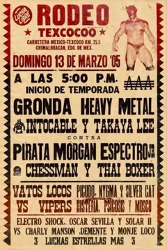 メキシコ ルチャリブレ プロレス メキシカンレスラー 限定！額付き