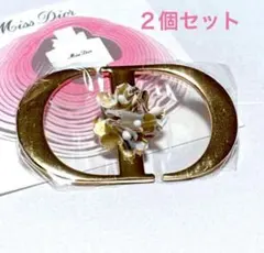 Christian Dior チャームセット 未使用 2025年最新】Christian Dior 付属品：箱 チャームの人気アイテム