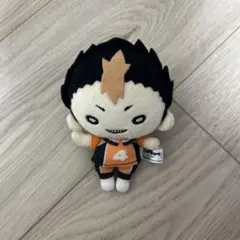 2025年最新】西谷夕 ぬいぐるみの人気アイテム - メルカリ