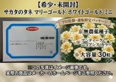 マリーゴールド ホワイトゴールド ミニ 30粒 サカタのタネ 希少 ホワイトのサムネイル