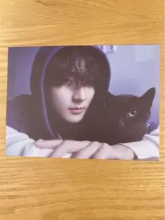 enhypen daydream ジョンウォン　ポストカード