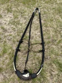 Item thumbnail for item 3527e9fb-44e4-4014-9bf4-637061afcf57