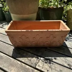 2025年最新】デローマ鉢の人気アイテム - メルカリ