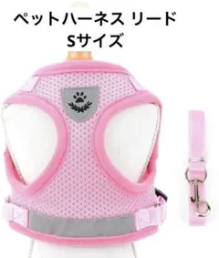 Item thumbnail for item 27cb85de-1014-44bb-b8e6-c8c1014cd98e