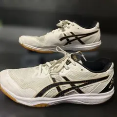 ASICS バレーボールシューズ Japanモデル　27cm 白のサムネイル