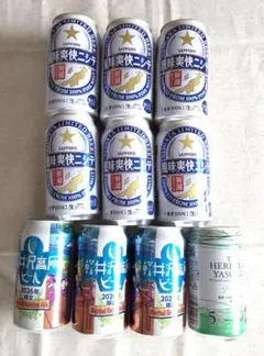 クラフトビール・地域限定ビール　9本+おまけ1本セットのサムネイル