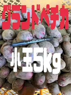 2026年最新】じゃがいも デストロイヤーの人気アイテム - メルカリ