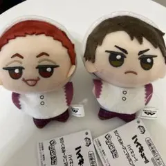 【天童・牛島】ハイキュー!! ちびぐるみ〜アニマルポンチョ〜vol.3 2種