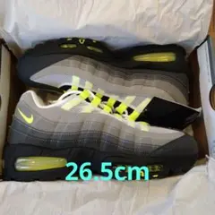 Nike Air Max 95 イエローグラデ　Big Bubble　26.5