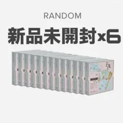 seventeen FML 新品未開封　carat盤