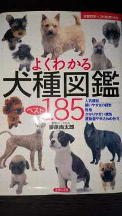 よくわかる犬種図鑑 ベスト185 藤原尚太郎